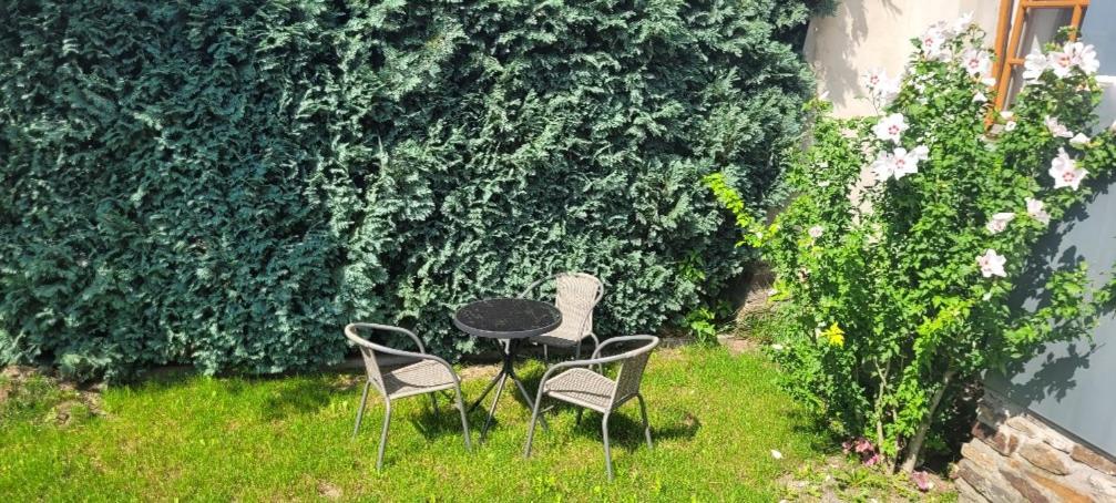 Ferienwohnung Eg Frauenmarkt 1 Schneeberg  Luaran gambar